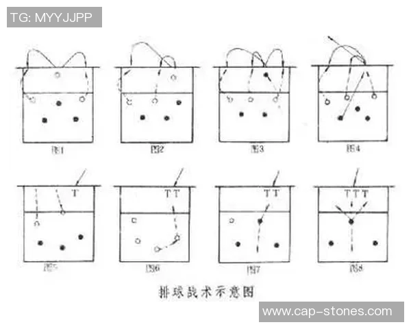 上海排球队总决赛战术解析与表现评估的深度分析