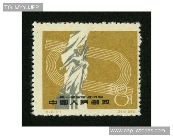 全运会特别报道：北京篮球队如何在挑战中崛起的成长历程与辉煌成就