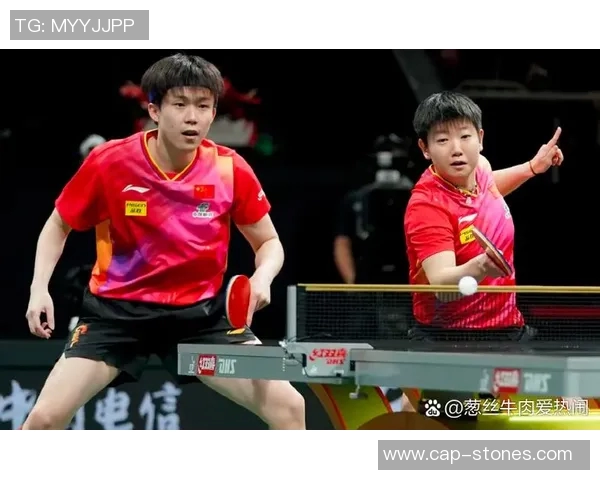 乒乓球专题：深入探讨成都乒乓球队的团队协作与默契配合之道