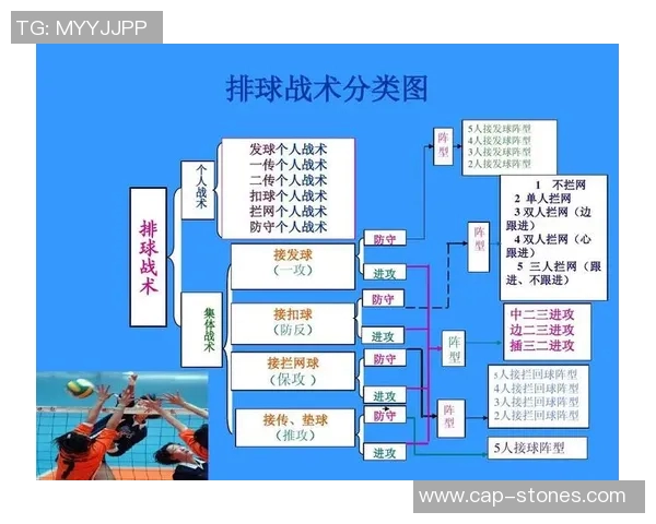 深度分析上海排球队的进攻战术与技术特点探讨